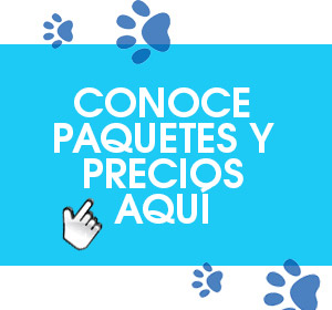 paquetes happy dogs monterrey