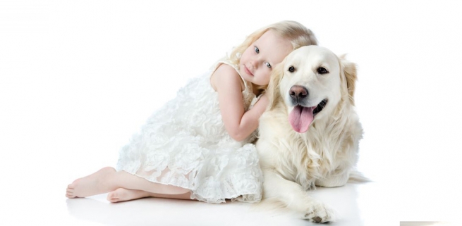 En Happy Dogs Monterrey Somos los mejores amigos del Perro
